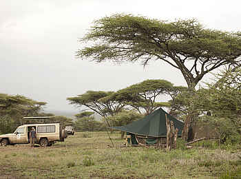 Wayo Nabi Green Camp: Geländewagen und Gästezelt Wayo Nabi Green Camp: Geländewagen und Gästezelt