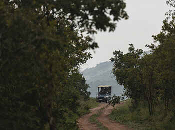 Wilderness Magashi Peninsula: Ein Pirschfahrt