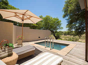 MalaMala Rattrays Camp: Privater Plunge Pool MalaMala Rattrays Camp: Privater Plunge Pool