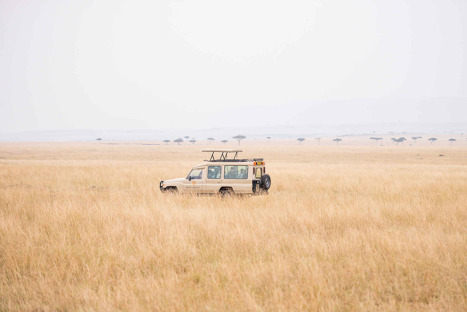 Mara Serena Safari Lodge: Auf der Pirsch Mara Serena Safari Lodge: Auf der Pirsch