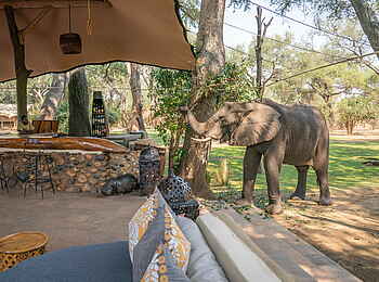 Time + Tide Chongwe: Elefanten zu Besuch