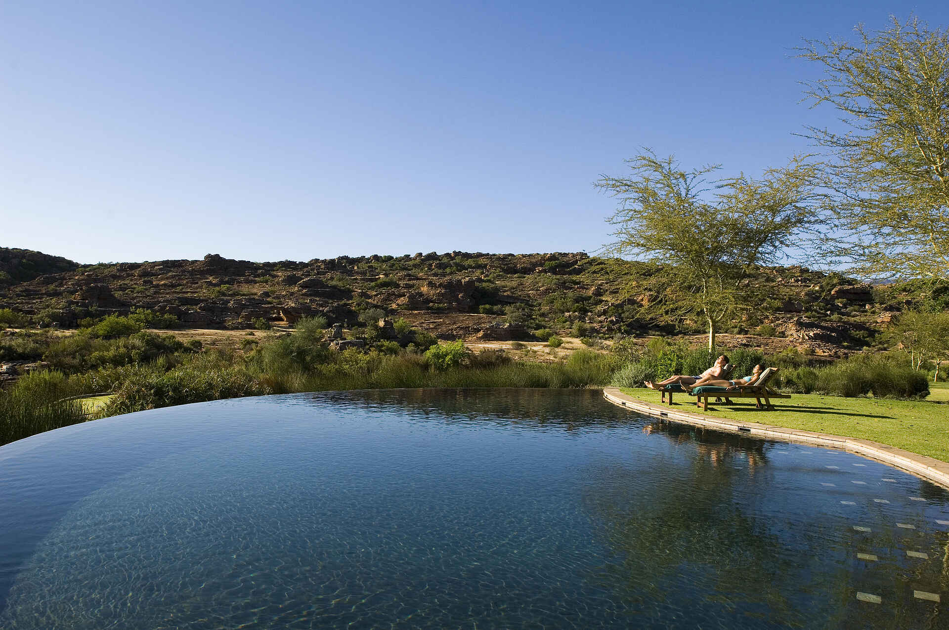 Bushmans Kloof Wilderness Lodge: Der Pool
