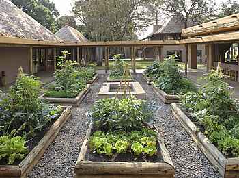 Kichwa Tembo Tented Camp: Gemüsegarten Kichwa Tembo Tented Camp: Gemüsegarten