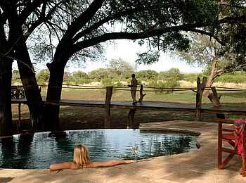 Luangwa Safari House: Pool unter Bäumen Luangwa Safari House: Pool unter Bäumen