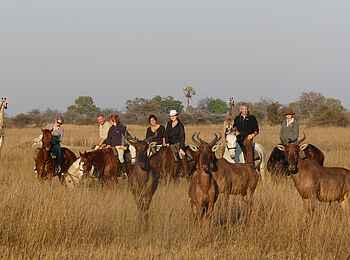 Macatoo Camp: Gruppenbild mit Wildtieren
