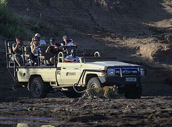 Mashatu Euphorbia Villas: Game Drive
