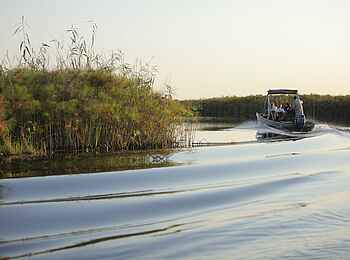 Nxabega Okavango Tented Camp: Bootsfahrt durchs Schilf