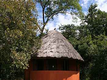 Wasa Lodge: Rondavel zwischen Bäumen