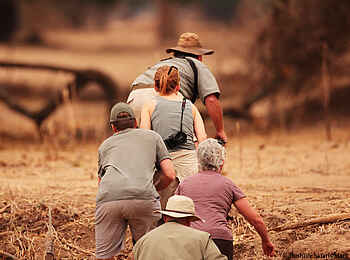 Little Vundu Camp: Walking Safari Little Vundu Camp: Walking Safari