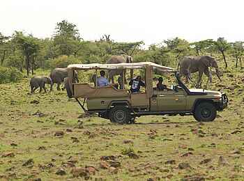 Basecamp Masai Mara: Auf Pirschfahrt Basecamp Masai Mara: Auf Pirschfahrt