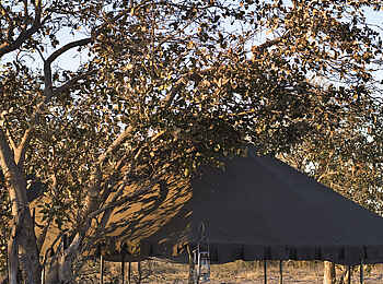 Chobe under Canvas: Speisen unter freiem Himmel