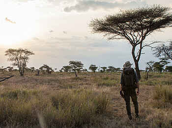 Hamerkop House by Lemala: Wandersafari Hamerkop House by Lemala: Wandersafari