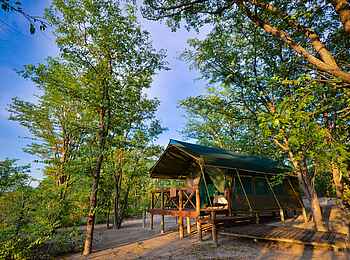 Mankwe Bush Lodge: Der Blick auf ein Gästezelt