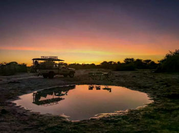 Mogogelo Camp: Sundowner Mogogelo Camp: Sundowner