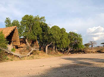 Mwagusi Safari Camp: Morgensonne im Flussbett