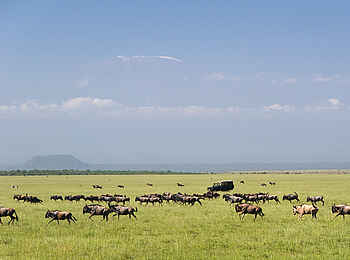 Ol Donyo Lodge: Auf Pirschfahrt Ol Donyo Lodge: Auf Pirschfahrt