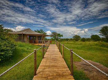 Sayari Camp: Steg zu den Gästeunterkünften