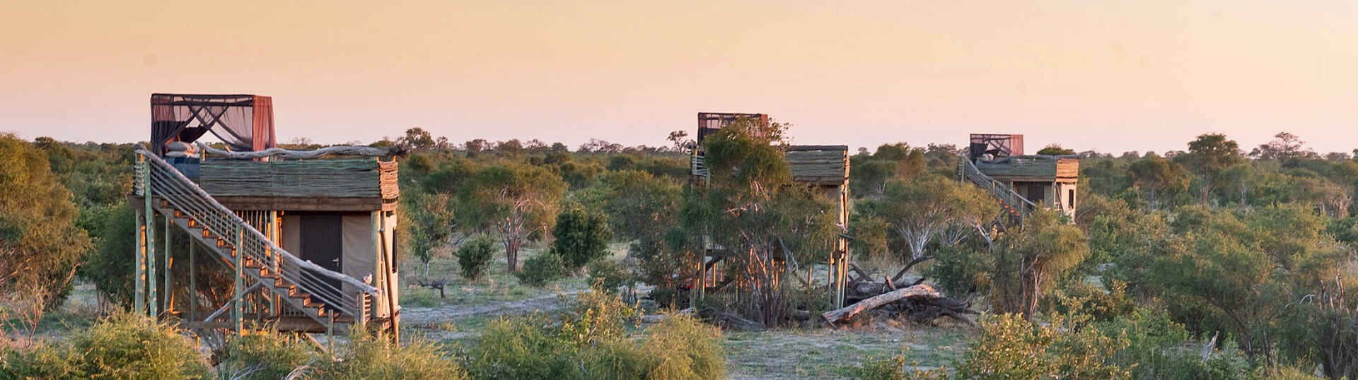 Skybeds: Blick auf die Skybeds Blick auf die Skybeds