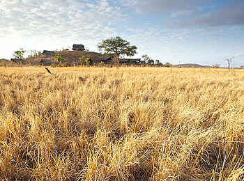 Stanley's Kopje Camp: Blick auf den Hügel des Camps Stanley's Kopje Camp: Blick auf den Hügel des Camps