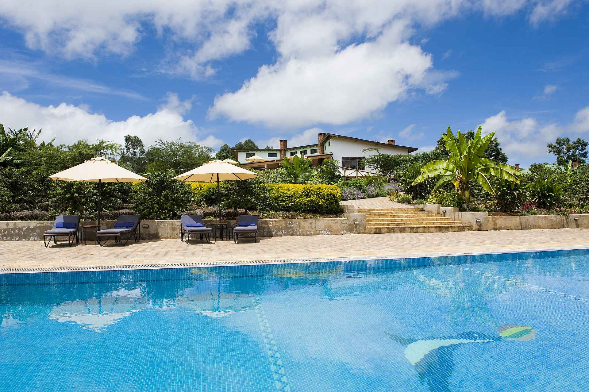 Tloma Lodge: Der Blick vom Pool auf das Hauptgebäude Ngorongoro Conservation Area, Ngorongoro-Krater, Tansania, Tloma Lodge, Hauptgebäude, Pool, Sonnenliegen, Sonnenterrasse, Afrikarma, Afrikarma Safaris, Afrikarma Safaris – Wildnis. Hautnah., afrikarma.de