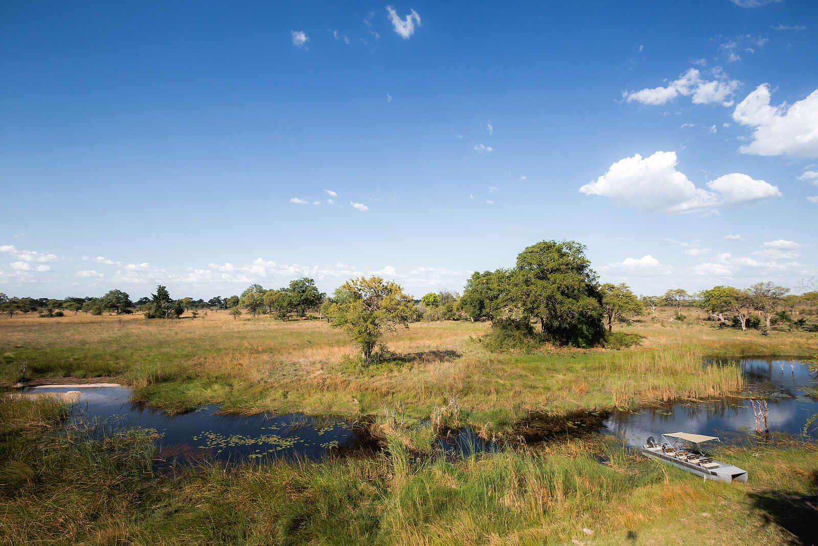 Jackalberry Tented Camp: Kanal vor dem Camp Jackalberry Tented Camp: Kanal vor dem Camp