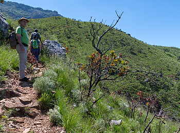 Musangano Lodge: Wanderung auf den Mount Inyangani