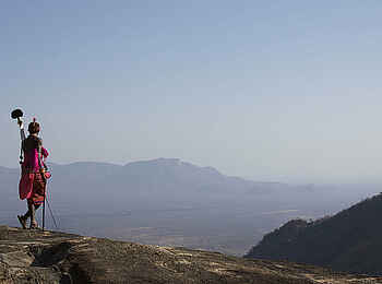 Sarara Tree: Samburu Sarara Tree: Samburu