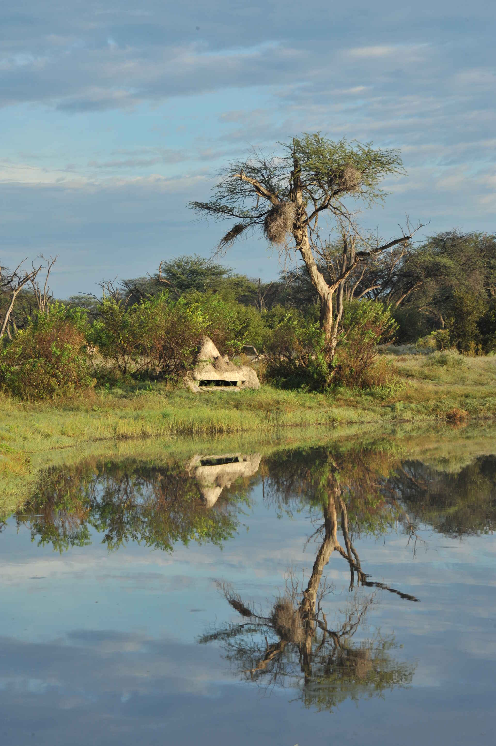 The Hide: Gemauerter Beobachtungsunterstand The Hide: Gemauerter Beobachtungsunterstand