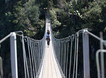 Aberfoyle Lodge: Hängebrücke Mutarazi Falls Aberfoyle Lodge: Hängebrücke Mutarazi Falls