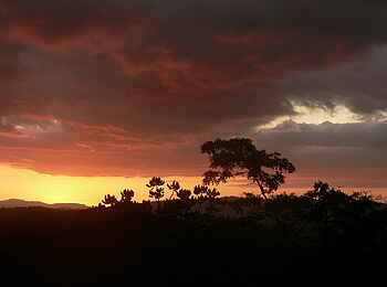 Frog and Fern Cottages: Sonnenuntergang Frog and Fern Cottages: Sonnenuntergang