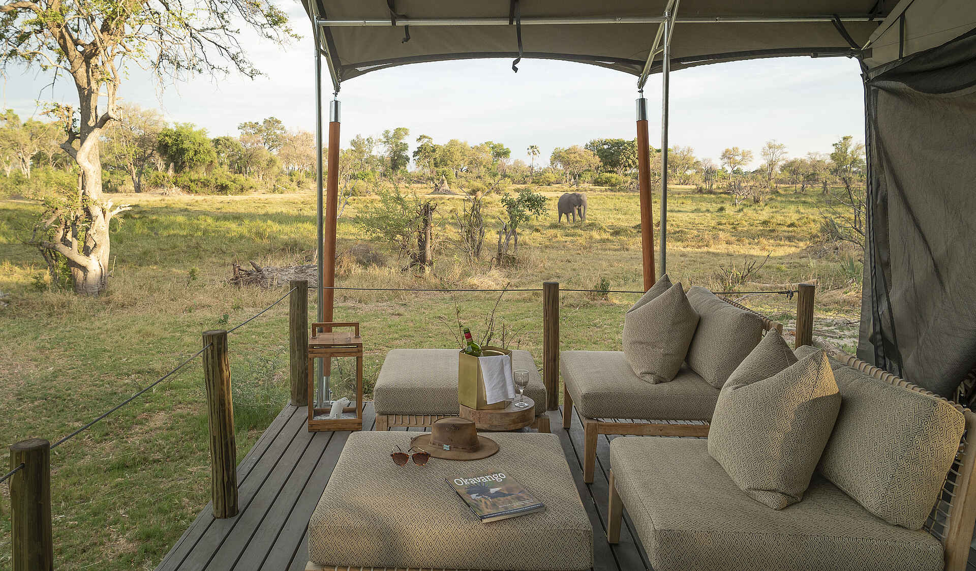 Gomoti Private Camp: Terrasse Afrikarma, Afrikarma Safaris, Afrikarma Safaris. Wildnis. Hautnah., Afrikarma.de, Camp, Gomoti Private, Gomoti Private Camp, Hocker, Hut, Kissen, Sessel, Terrasse, Tisch, Weinkühler