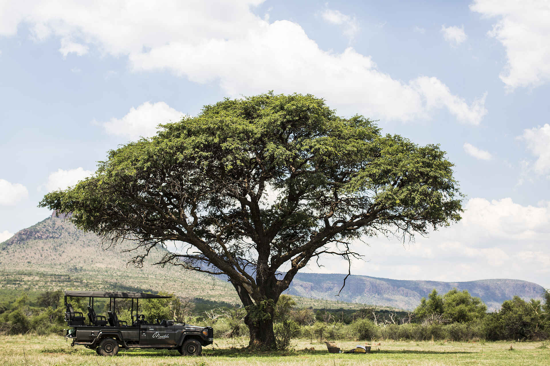 Marataba Safari Lodge: Safari Jeep unter einem Baum