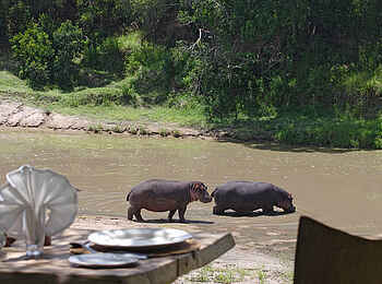 Naibor Camp: Mittagessen bei den Nilpferden Naibor Camp: Mittagessen bei den Nilpferden