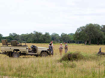 Nkonzi Bush Camp: Morning Coffee beim Game Drive Nkonzi Bush Camp: Morning Coffee beim Game Drive