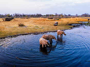 Tuludi Camp: Elefanten in einer Lagune Tuludi Camp: Elefanten in einer Lagune