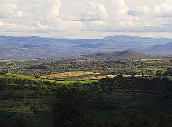 Gibbs Farm: Traumlandschaft