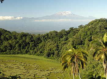 Hatari Lodge: Blick in den Krater