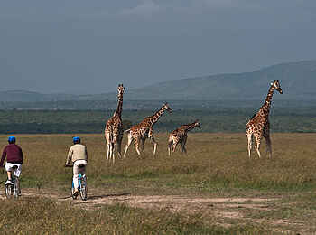 Kicheche Laikipia Camp: Fahrradtour im Busch