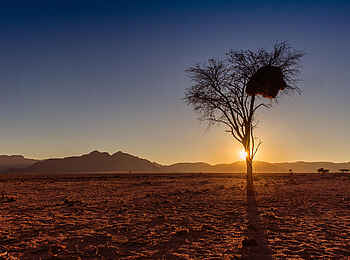 Kwessi Dunes Lodge: Landschaft