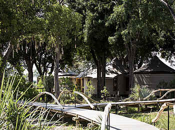 Mombo Camp: Weg zur Family Suite