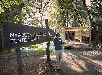 Nxabega Okavango Tented Camp: Begrüßung