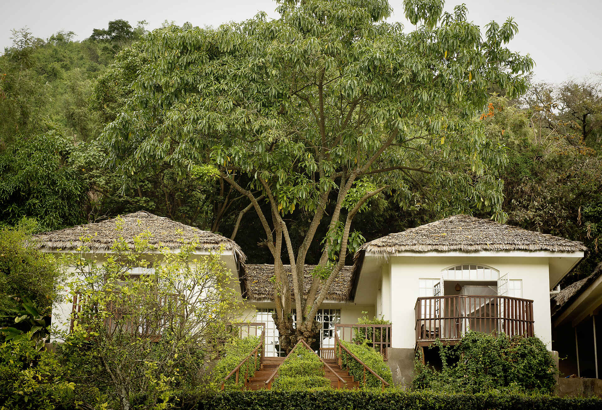 Arusha, Arusha National Park, Kilimanjaro National Park, Mount Meru, Onsea House, Onsea House Tanzania Limited, Tansania, Tanzania, Themi Hill, Bäume, Frontansicht, Garten, Guest Cottage, Private Terrassen, Treppe, Afrikarma, Afrikarma Safaris, Afrikarma Safaris – Wildnis. Hautnah., afrikarma.de