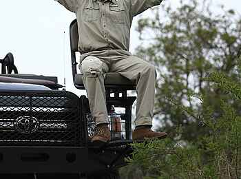Phinda Mountain Lodge: Ranger auf dem Safarifahrzeug Phinda Mountain Lodge: Ranger auf dem Safarifahrzeug