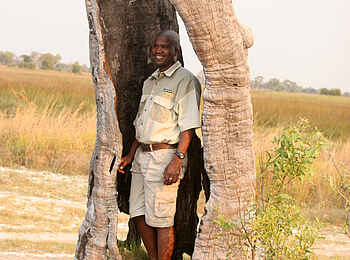 Pom Pom Camp: Guide in Baumskulptur Pom Pom Camp: Guide in Baumskulptur