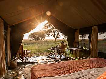 Serengeti Safari Camp: Am Morgen