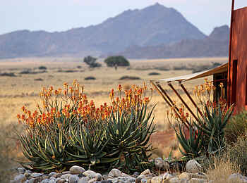 Sossusvlei Lodge: Blick auf das Naukluftgebirge
