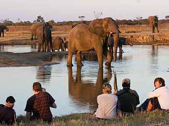 The Hide: An der Kennedy II Pfanne The Hide: An der Kennedy II Pfanne