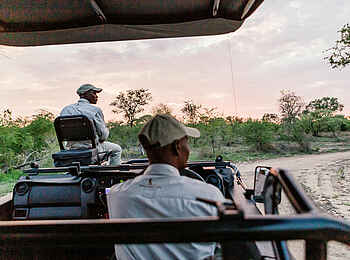 Cheetah Plains: Guide und Spotter Cheetah Plains: Guide und Spotter