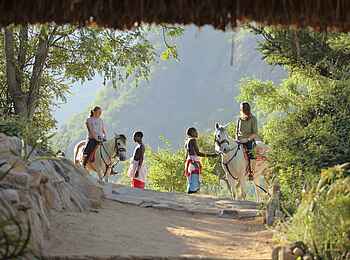 Sarara Tree: Ausritt Sarara Tree: Ausritt