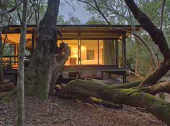 &Beyond Phinda Forest Lodge: Einladende Gästeunterkunft